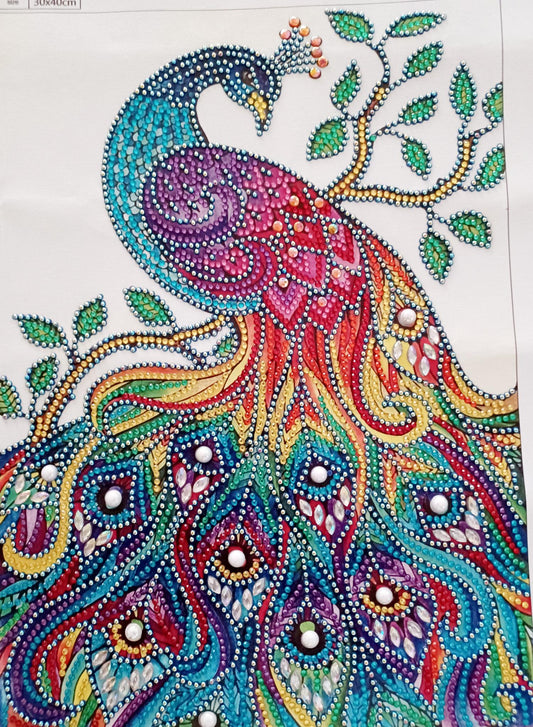 "Peacock" Diamond Stone Picture
